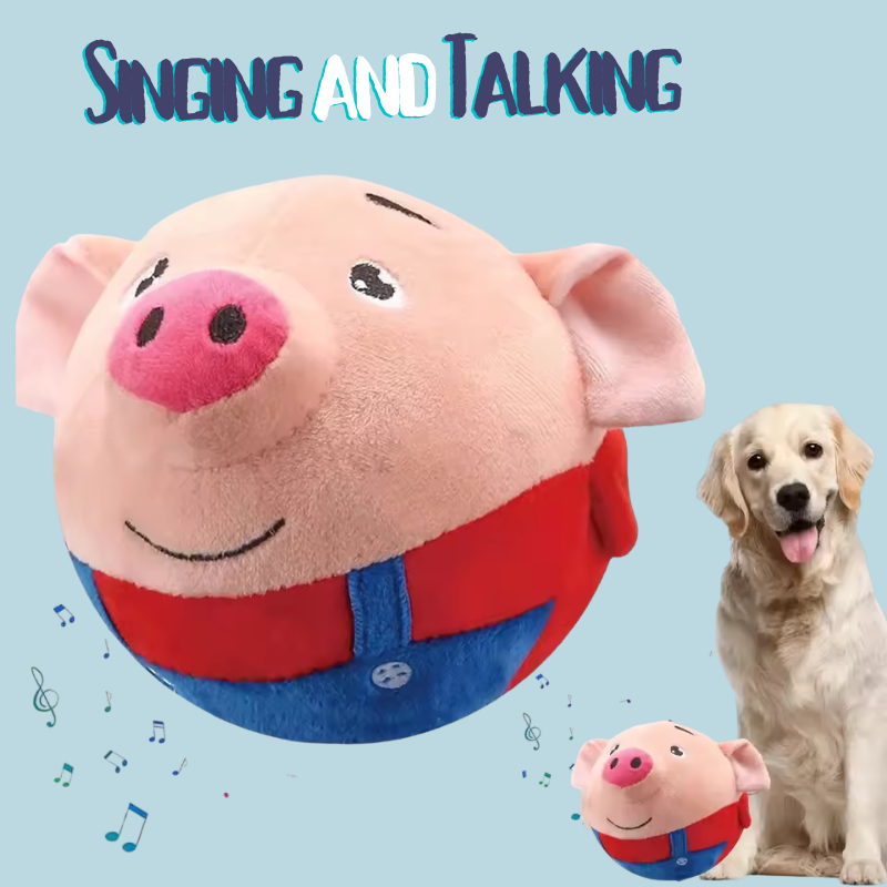 Pet Essentials